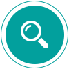 Search Icon