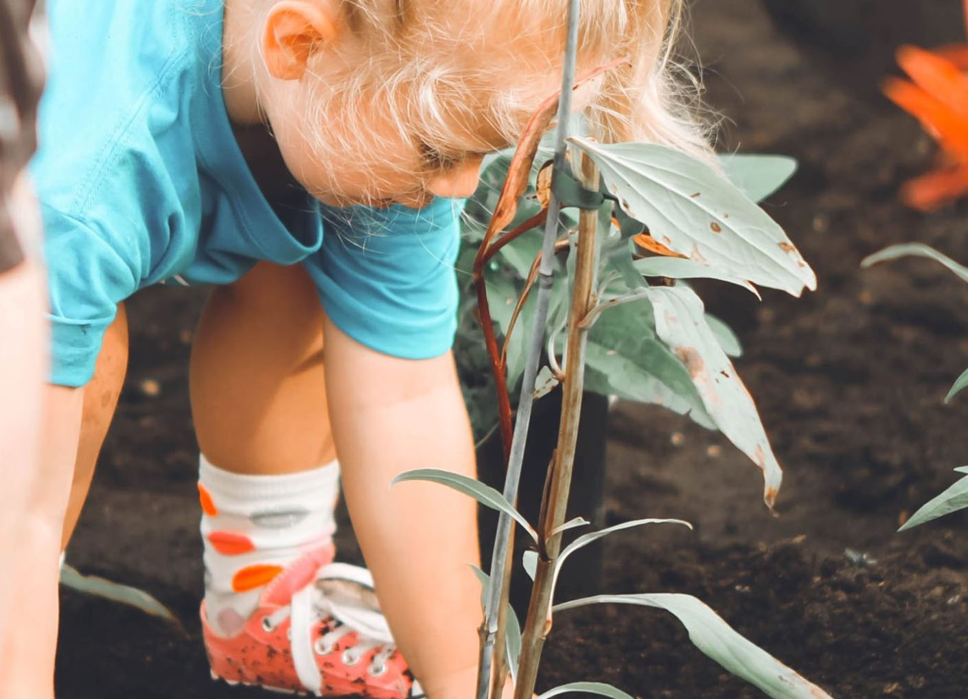 young girl gardening